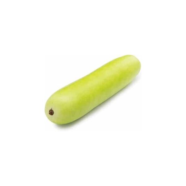 Deep Rooted Bottle Gourd