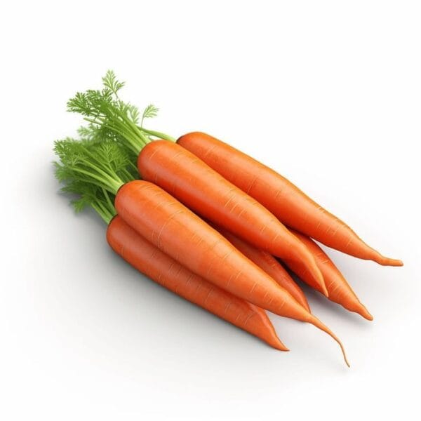 Carrot