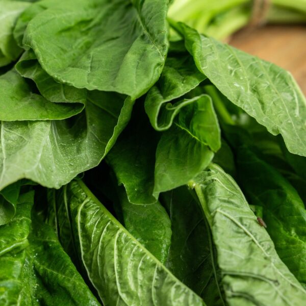 Amaranth leaf (Koitaku) - Image 2