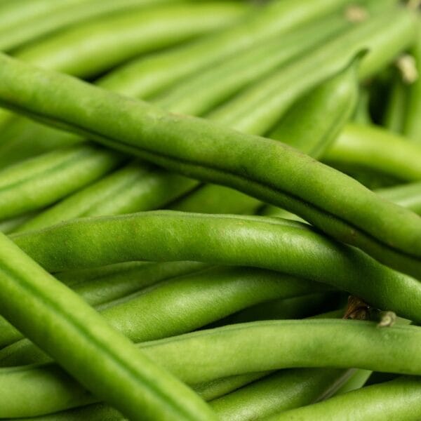 Beans - Image 2