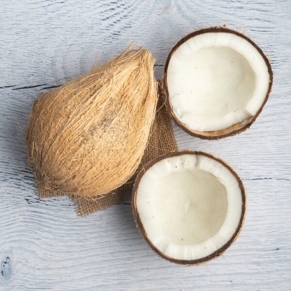 Coconut - Image 4
