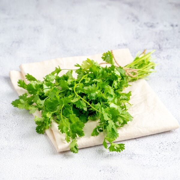 Coriander Leaves - Image 4