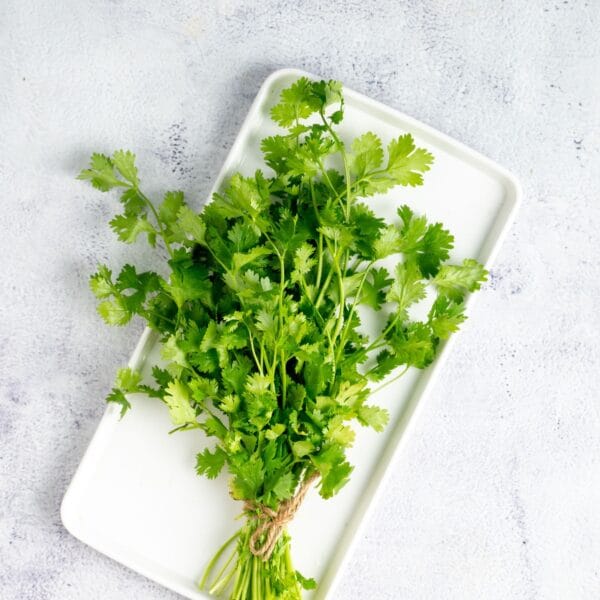 Coriander Leaves - Image 3