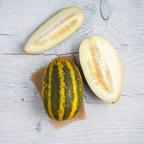 Cucumber Malabar - Image 3