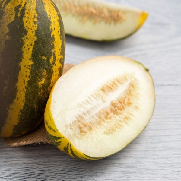Cucumber Malabar - Image 2