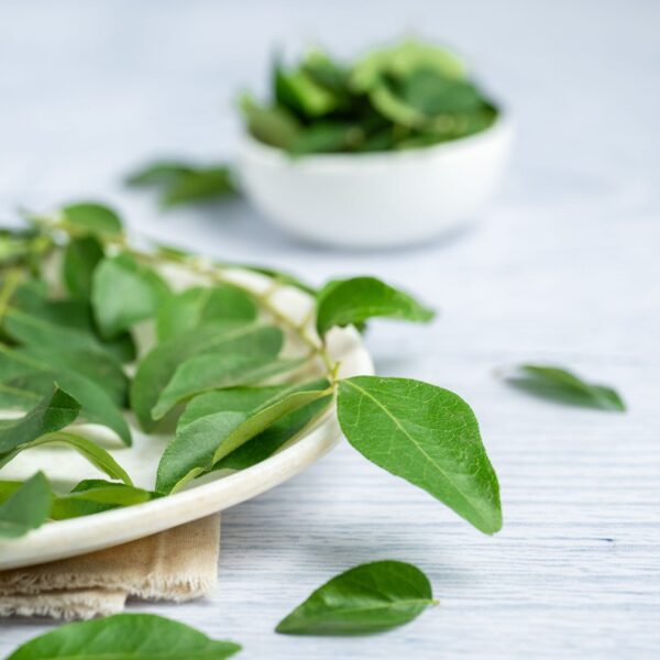 Curry Leaves - Cleaned, without roots - Image 3
