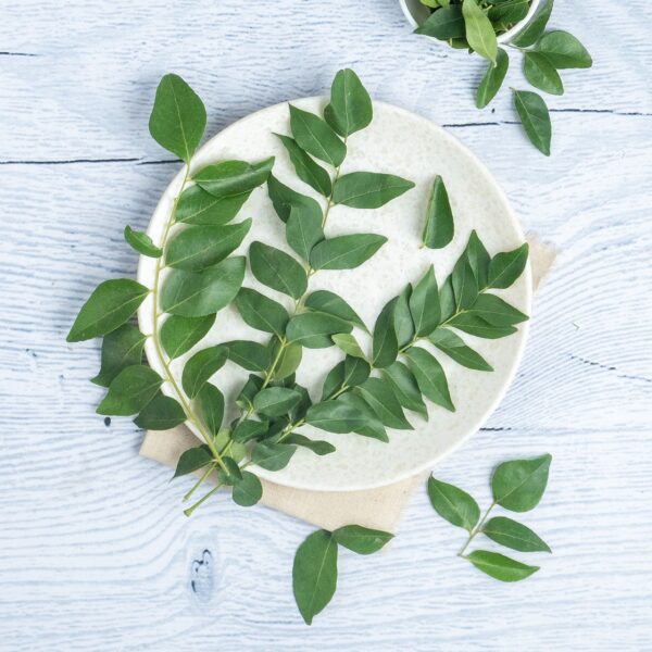 Curry Leaves - Cleaned, without roots - Image 2