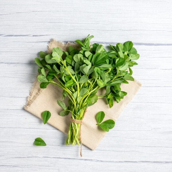 Fenugreek (Methi)