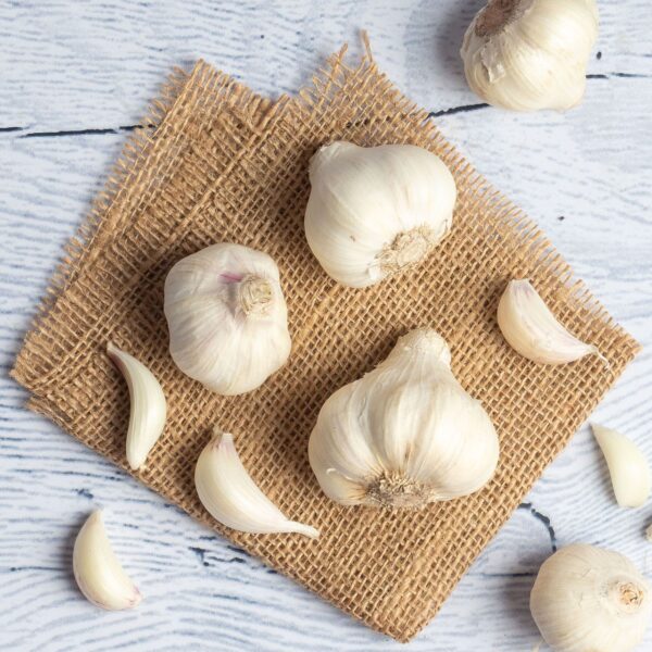 Garlic - Image 3
