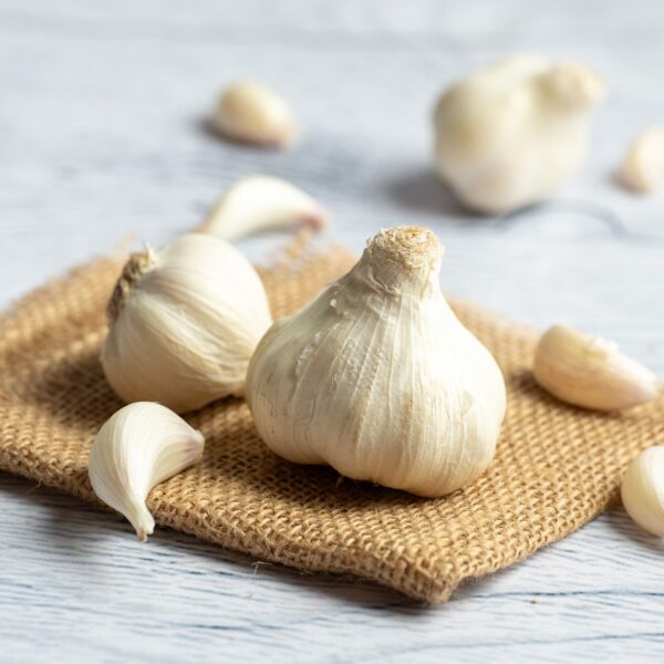 Garlic - Image 2