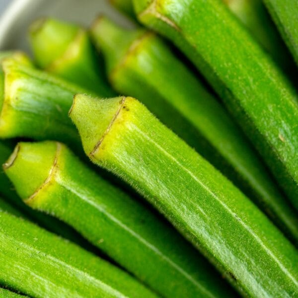 Lady Finger - Image 3