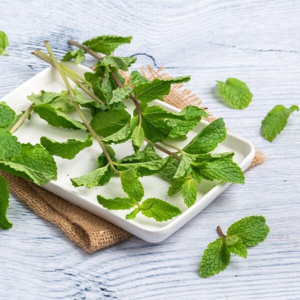 Mint Leaves - Image 4
