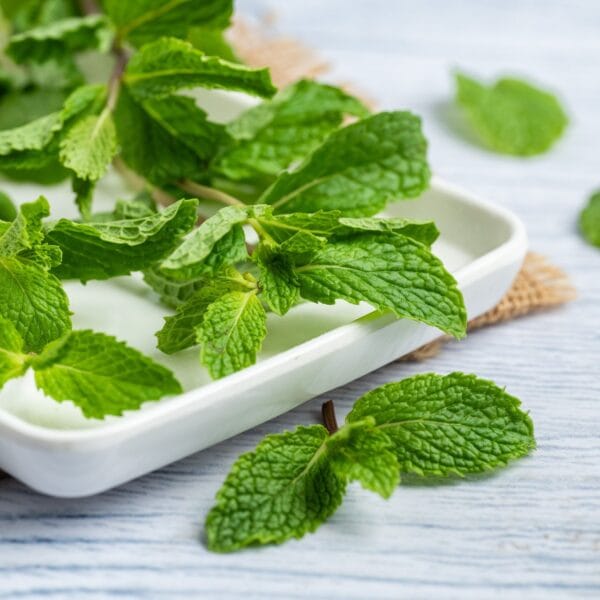 Mint Leaves - Image 3