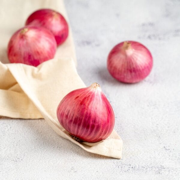 Onion - Image 2