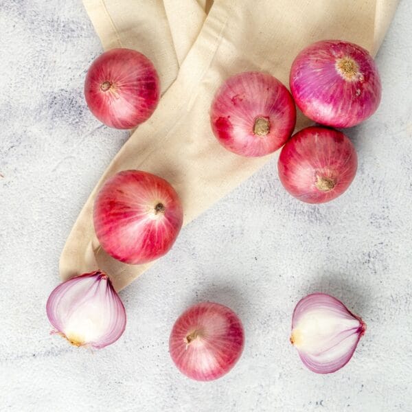 Onion - Image 3
