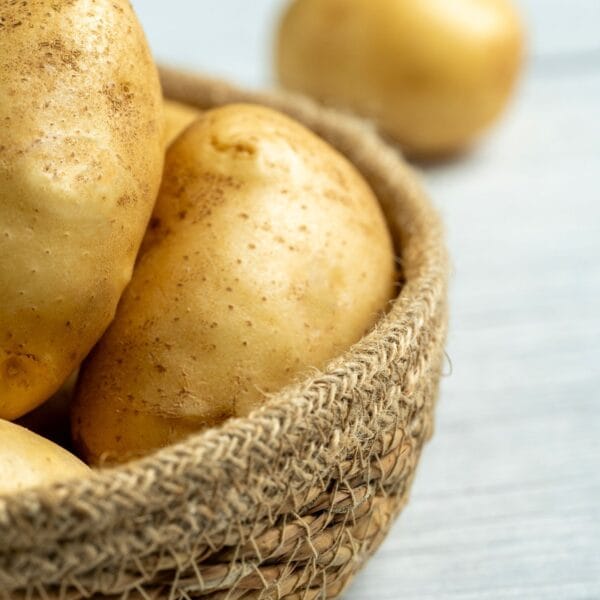 Potato - Image 3