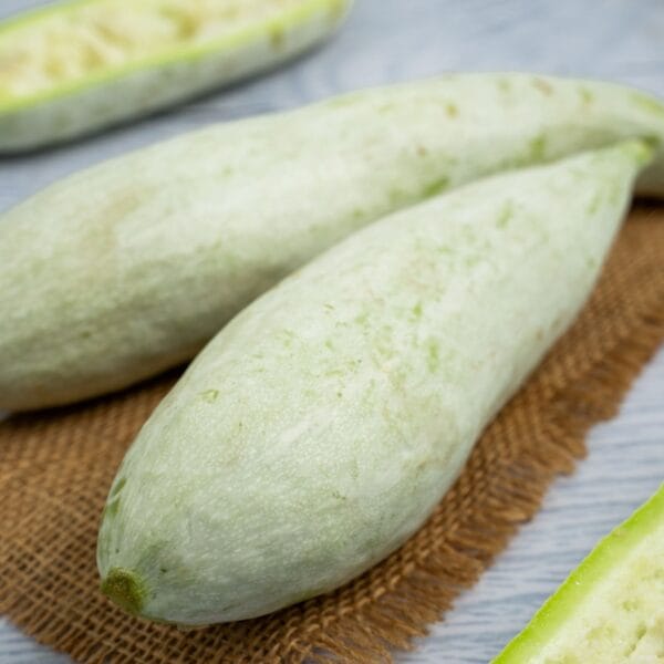 Snake Gourd - Image 3