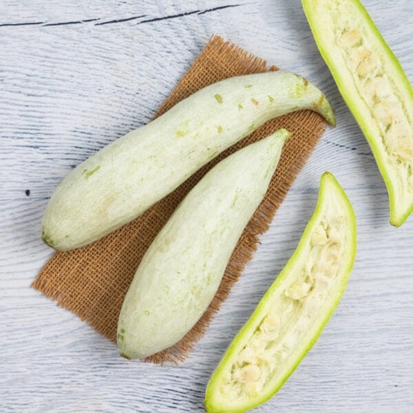 Snake Gourd - Image 2