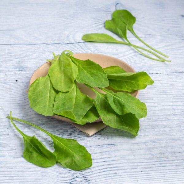 Spinach ( pala kura ) - Image 3