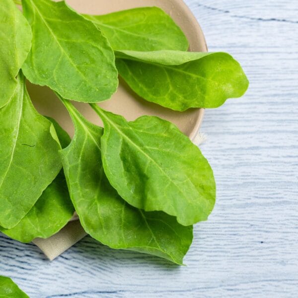 Spinach ( pala kura ) - Image 2