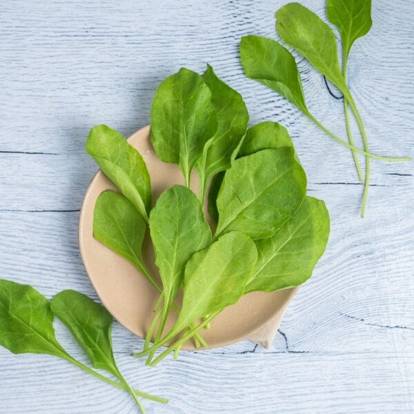 Spinach ( pala kura )
