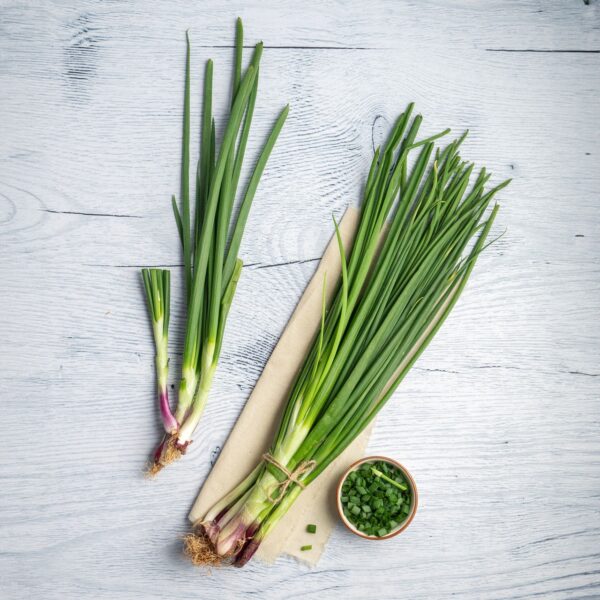 Spring Onion - Image 3