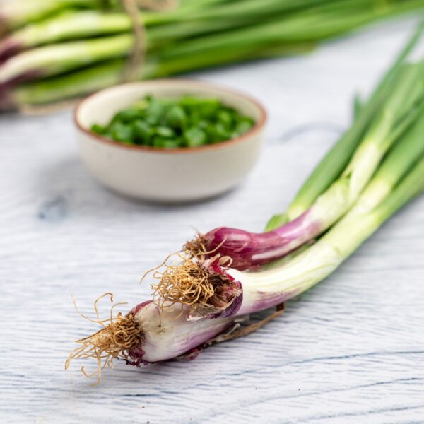 Spring Onion - Image 2