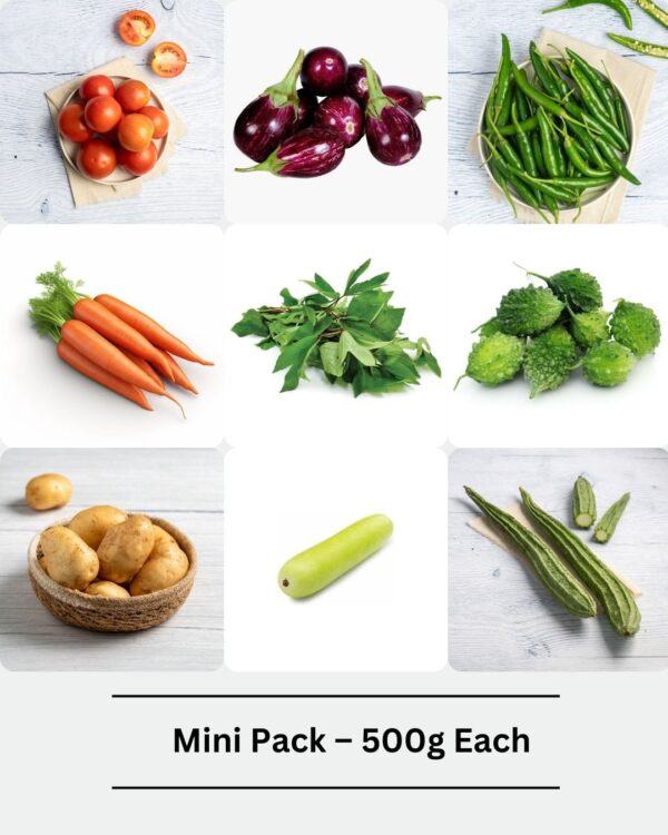 Medium Family Pack – 500g Each - Image 2