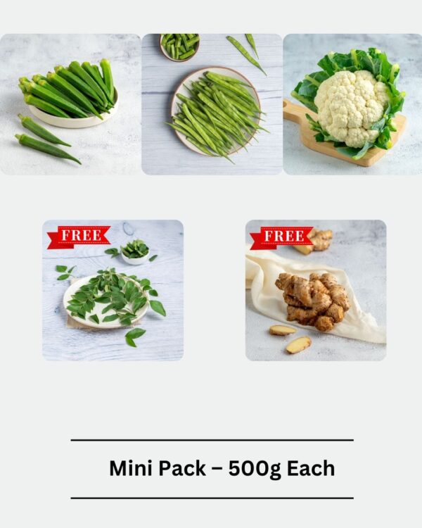 Medium Family Pack – 500g Each - Image 3