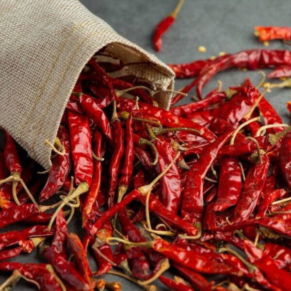🌶️ Red Chilli (Guntur) - Image 2